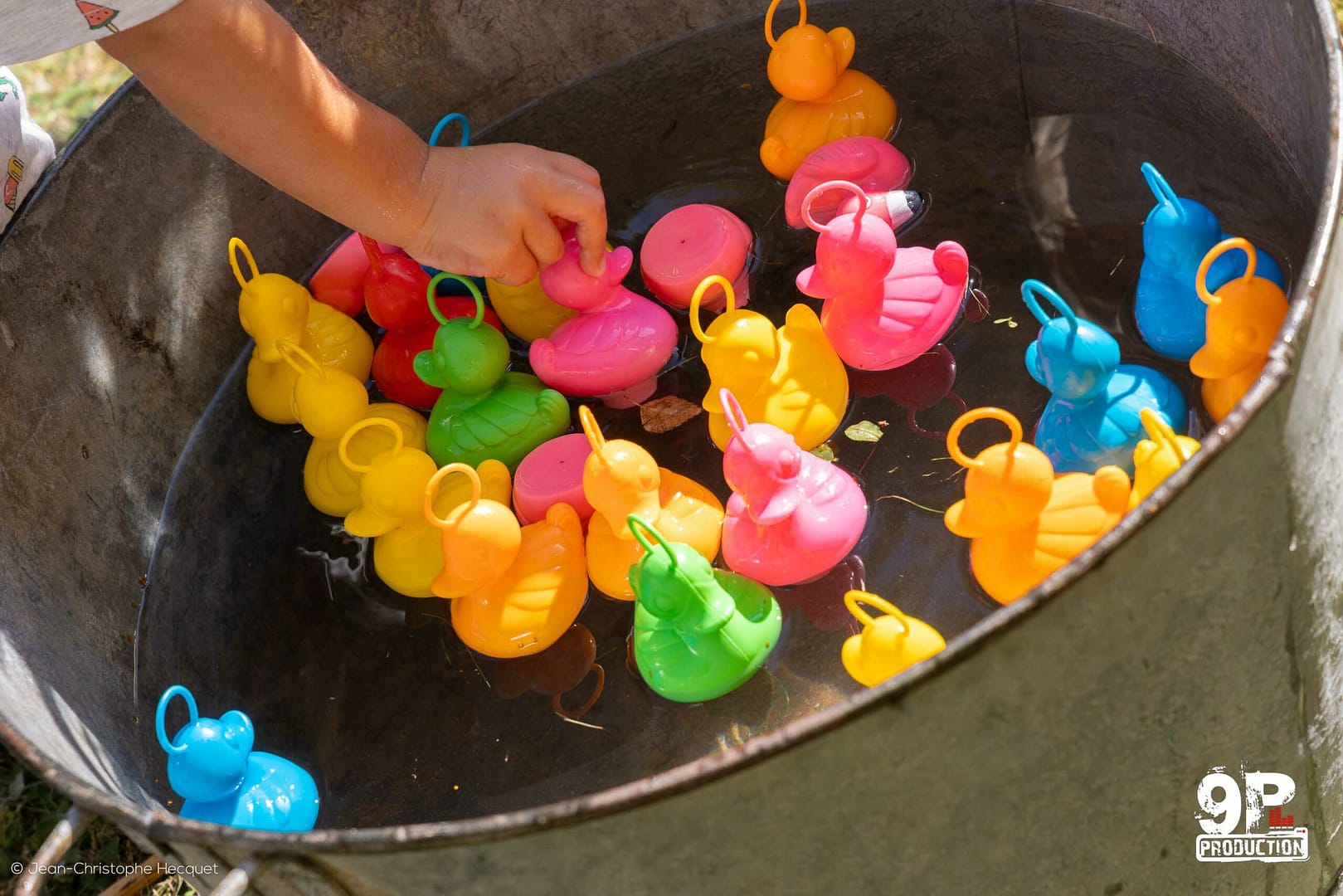 Location pêche aux canards d'Antan