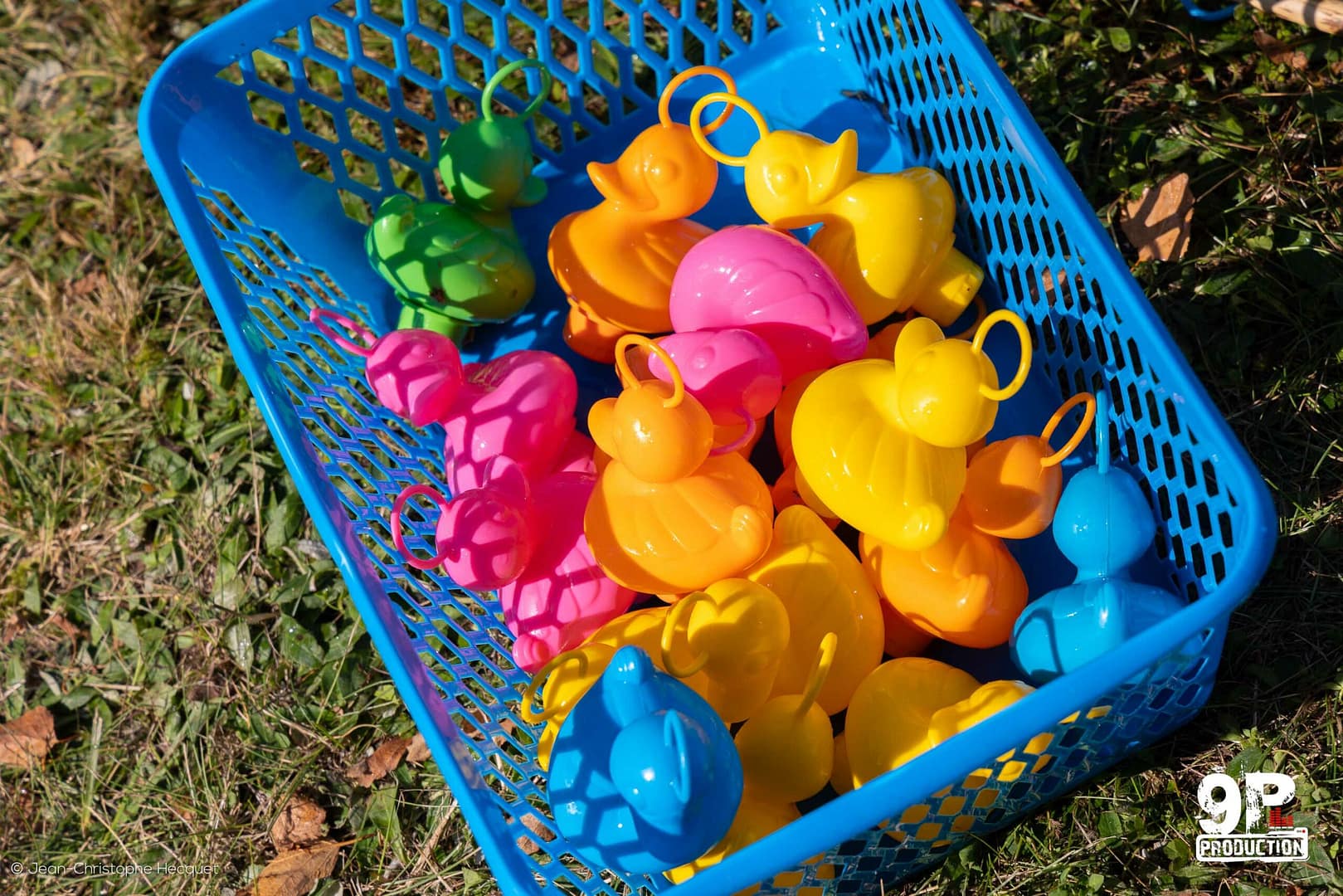 peche aux canards somme location pêche aux canards d'antan somme