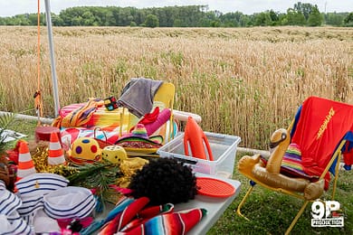 Team building : La photo perchée